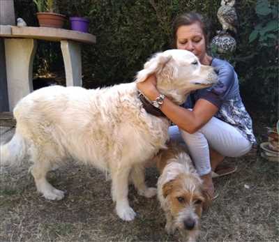 Photo animalerie n°180 zone Yvelines par Anima'Paradiso
