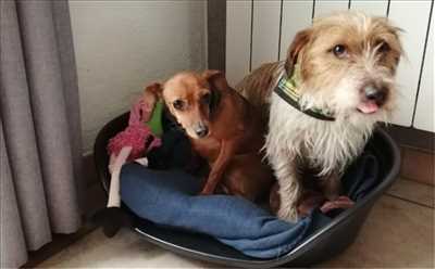Exemple animalerie n°181 zone Yvelines par Anima'Paradiso