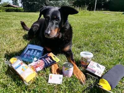 Exemple animalerie n°201 zone Isère par LES AMIS DE CELINE