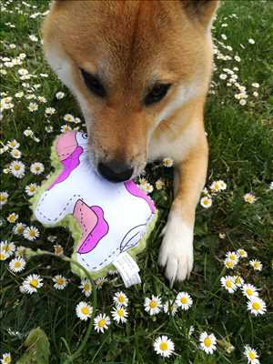 Photo animalerie n°202 à Échirolles par LES AMIS DE CELINE