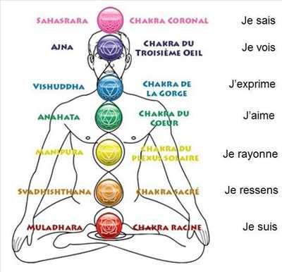 Exemple aromathérapeute n°253 zone Loiret par ENERGIE VITALE