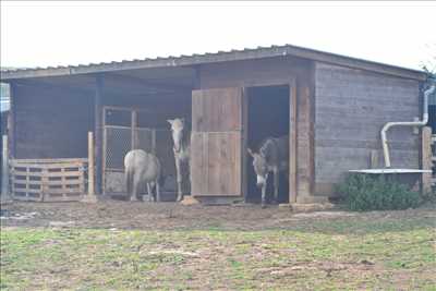 Photo refuge animaux n°274 à Mâcon par NID'ACCUEIL