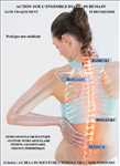 Exemple masseur n°361 zone Ain par AU DELA DU BIEN-ETRE L'ESSENCE CIEL