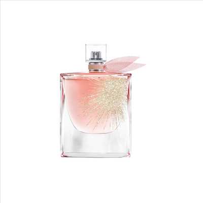Exemple parfumerie n°401 zone Rhône par ELEGANCE PARFUM