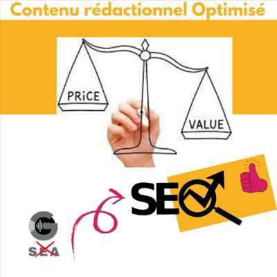 Exemple consultant seo n°465 zone Charentes par Frédérique 