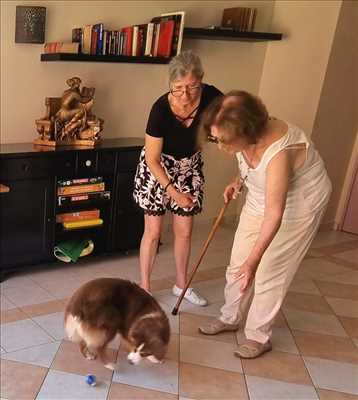Photo éducateur canin n°567 dans le département 6 par Nathalie